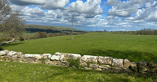 Old Church of St James - InkSpace Architects