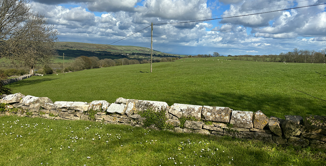 Old Church of St James - by InkSpace Architects - Dorset